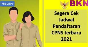 Segera Cek Jadwal Pendaftaran CPNS terbaru 2021