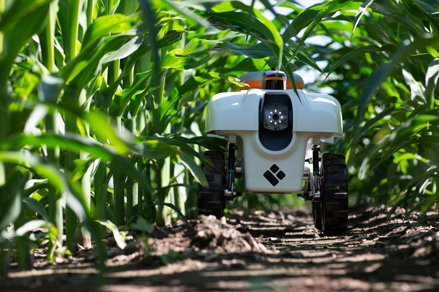 Robot AI Pembantu Petani Tingkatkan Hasil Panen